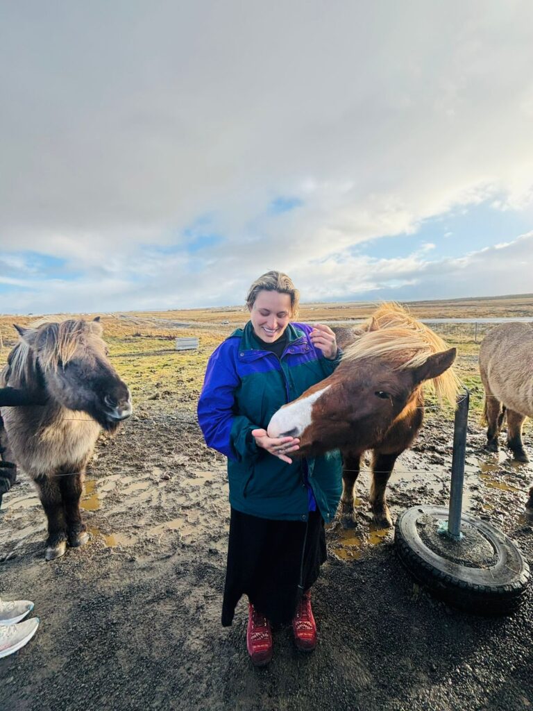 islandia-cavalos